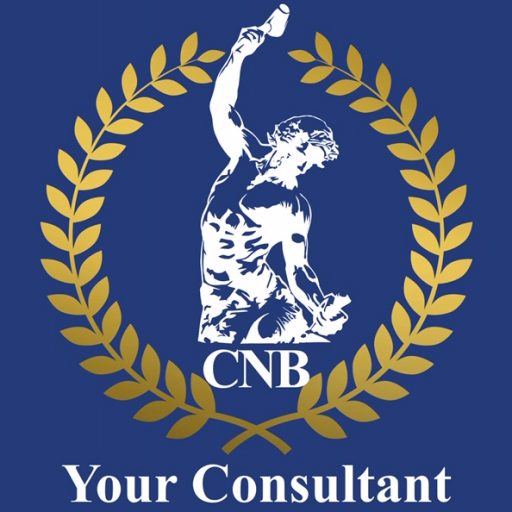 CNB Group Magyarország Logo
